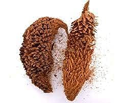 மதனகாமப்பூ / Madhanakama Poo / Queen Sago / Jangli Madanmust Ka Phul 50g by Amirtham Organic Foods