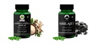 Ashwagandha KSM66 Shilajit Wellness Daily Vitality 60 CAPSULES