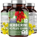 Number One Nutrition N1N Premium Berberine Plus 120 Caps, 1200mg, Natural Supplement ondersteunt anti-aging, Cellular Health, Energie en spijsvertering