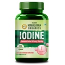 Vlado’s Himalayan Organics Iodine 140 Mcg | Thyroid Support Supplement for Men & Women | Boosts Metabolism, Energy, Immunity | Maintains Healthy Cellular Function - 120 Veg Capsules