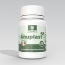 Anoopam Ayurveda Anuplast Tablet | Promotes Fracture Healing & Increases Bone Density