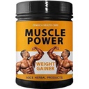 Muscle Power | Men's Body Weight Gainer Supplements | Ayurvedic Product | Flavor Chocolate | Pack of 1
