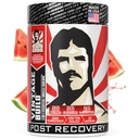 Vintage Build – Après l'entraînement Recovery & Muscle Building Powder Drink for Muscular Strength & Growth - Réduit la douleur – Créatine Monohydrate, BCAAs, L-Glutamine – Juticky Watermelon Flavor – 388g