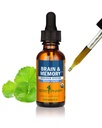 Herb Pharm Cerveau Nootropique Bio et Supplément Mémoire avec Ginkgo Biloba Extrait liquide: Absorption rapide pour le soutien mental, supplément Ginkgo, végétalien, sans gluten, non-OGM, 1 Oz