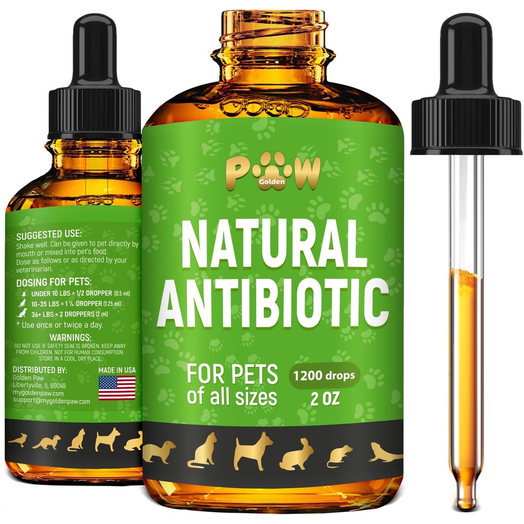 Antibiotiques pour chiens pour l'infection, Toux, UTIs, Allergies, Démangeaisons