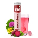 Muditam Ayurveda Liver Fix - Daily Liver Cleanser Drink 20 Tablets | Ideal For 10 Days | Milk Thistle Tablets in Effervescent form | Helps in Fatty Liver & Detox
