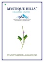 Mystique Hills Stachytarpheta jamaicensis powder (50 g)