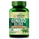 Vlado’s Himalayan Organics Ginkgo Biloba 500mg With Brahmi for Better Concentration, Memory & learning | Helps Anxiety & Stress | Healthy Blood Circulation - Small Pack