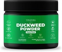 VINATURA Poudre d'algues de canard - supplément d'algues de canard, santé digestive Superfood, poudre de fibres-Superfood de Wolffia Globosa