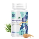 4UWell Wheatgrass Capsule 500mg | Natural Detox & Energy Booster Supplement | Rich in Antioxidants, Vitamins & Minerals | Supports Immunity, Digestion & Overall Wellness | 60 Capsules