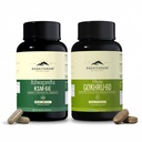 Rasayanam Ashwagandha KSM-66 (500 mg) and Tribulas Gokhru - 60 Gokshura Tablets 1000mg PACK OF 2 | Extra Strength Natural Formulation | Support Strength & Energy | For Both Men & Women