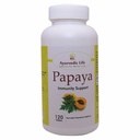 Ayurvedic Life Papaya Leaf Tablets 120 Tablets | Carica Papaya (Pack of 1)