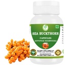 Organic Sea Buckthorn Capsules – Omega-7 & Antioxidants for Skin Hydration, Immunity & Digestive Health – USDA Certified, Vegan, Gluten-Free – 500 mg, 60 Veg Capsules (PACK OF 1)