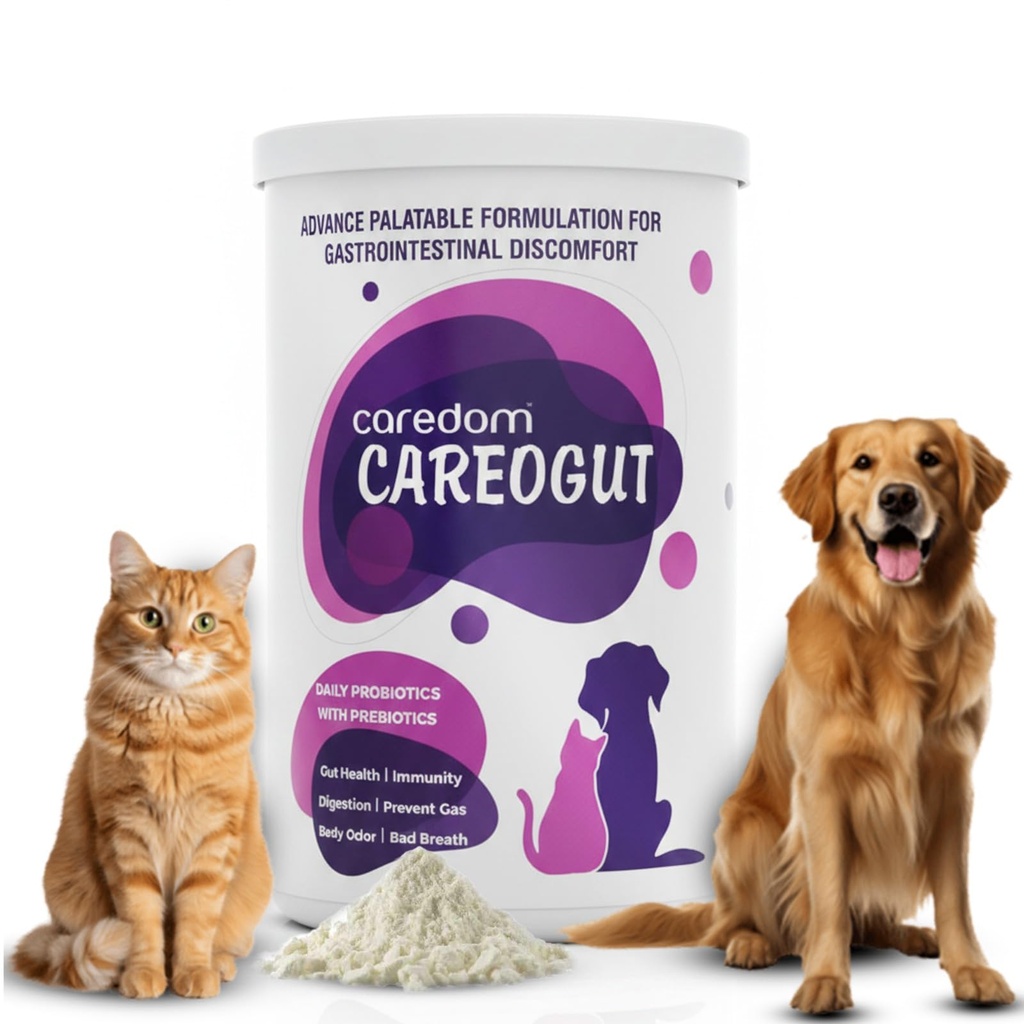 CAREOGUT Prebiotics & Probiotics for Dogs and Cats | Digestive Enzyme Blend | Probiotics Supplement for Gut Health | Cat & Dog Supplement for Daily Gut Support | Powder | 100 grm