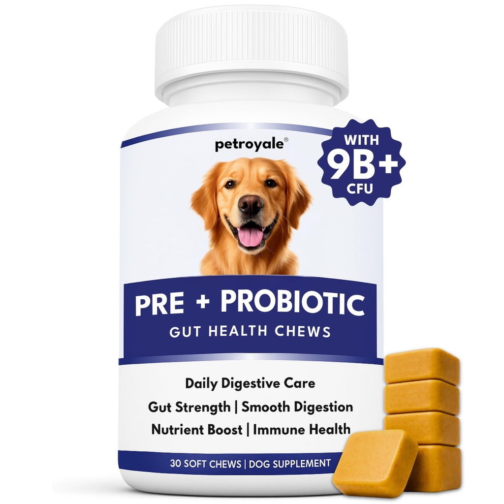 Petroyale Dog Pre+ Probiotic & Prebiotic Chews – Probiotics for Dogs – Dog Gut Health Supplement – Relieves Diarrhea, Improves Digestion & Immunity – Soft 30 Chews