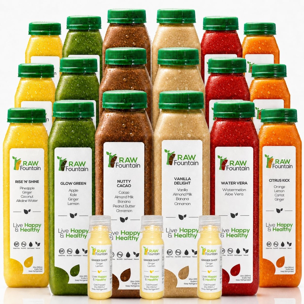 3 Dag Proteïnesap Reiniging door ruwe fontein, Alle natuurlijke ruwe detox reiniging, koude geperste vruchten, groenten, vanille en chocolade smaak, smakelijk en energizing, 18 flessen 12oz, 3 Gember Shots