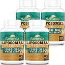 Spermidine Supplement 15 MG - 99% Zuiverheid, Hoge Absorptie, 1500 MG Gefermenteerd Tarwekiemextract met Zink en Thiamine, Spermidine voor Mannen en Vrouwen - Cellulair Hernieuwing, Veroudering Verdediging, Energie, 240 Softgels