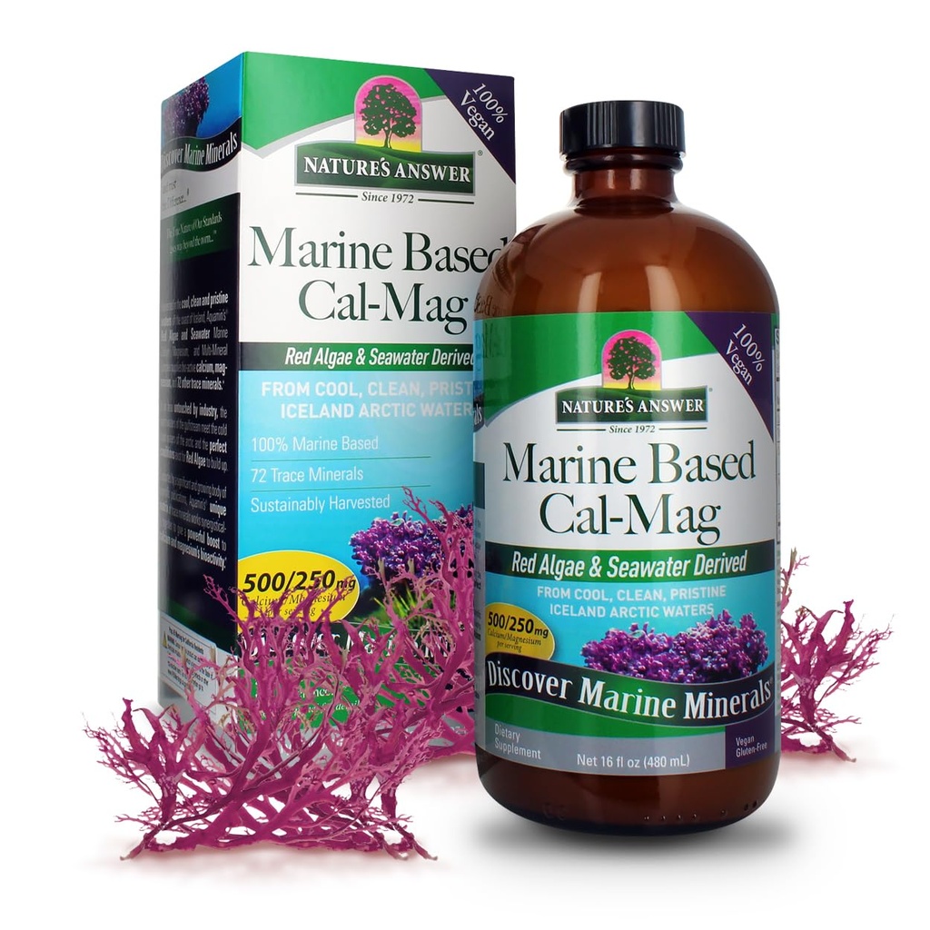 Nature's Answer Marine Based Calcium Magnesium, Vanille Cream, 16-Ounce 