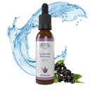 Trésor enseveli gouttes d'harmonie lymphatique - 2oz, 30 portions, supplément lymphatique avec cleavers, Burdock, Echinacea, et Astragalus