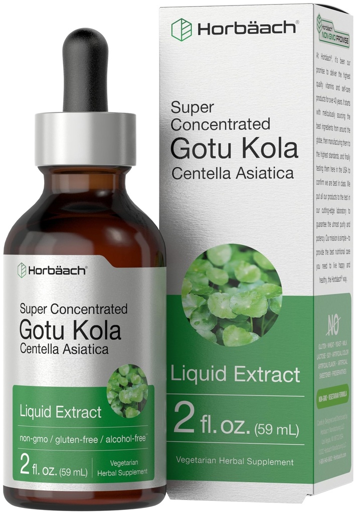 Horbäach Gotu Kola Extract | 2 fl oz | Alcohol Free | Super Concentrated Liquid Herb Supplement | Vegetarian, Non-GMO, Gluten Free