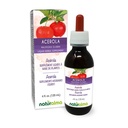 Naturalma Acerola (Malpighia glabra) Fruit Alcoholvrije Tinctuur - Rijk aan vitamine C - 4 fl oz Liquid Extract in druppels - Kruidensupplement - Veganistisch