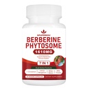 7-in-1 Berberine Phytosome met Ceylon Cinnamon, Berberine Complex ondersteunt Metabole, leverfunctie en immuunsysteem, Non-GMO, Glutenvrije - 60 capsules
