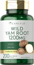Carlyle Wild Yam Root Capsules | 200 Count | Traditional Herbal Extract | Non-GMO, Gluten Free