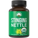 USDA Organic Stinging Nettle Vegan Capsules Gemaakt met Stinging Nettle Leaf Powder voor Prostaat, Haargroei, Allergie. Beter dan Root of Seed Extract. Plantaardige kruidensupplement tabletten, 60 pillen