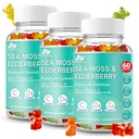 BIO VITALICA Gummy de la Mousse de Mer BioVitalica - Vitamine C D + Zinc - Gummy de la Mousse de Mer Vegan avec Gel et Poudre de la Mousse de Mer pour Immunité, Detox - pour Adultes et Enfants (3Packs)
