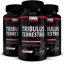 FORCE FACTOR Tribulus Terrestris for Men, 3-pack, Tribulus Testosteron Booster for Men, Male Vitality Supplement, Tribulus Extract & Natural Ingredients for Superior Absorptie, 1000mg, 180 Capsules