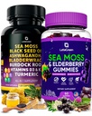 Capsules de mousse de mer + Gummies Bundle, 60 Gummies de mousse de mer d'Irlande + 120 Capsules de mousse de mer sauvage avec vitamines et minéraux