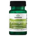 Swanson Pycnogenol 100 Milligrammen 30 Capsules