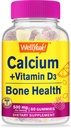 WellYeah Calcium 500mg + Vitamine D3 1000 IE (25 mcg) Gummies - Bone Health and Muscle Supprt, Immune Support Gummy, Non GMO, Glutenvrij, Mix Fruit Smaken - 60 Gummies