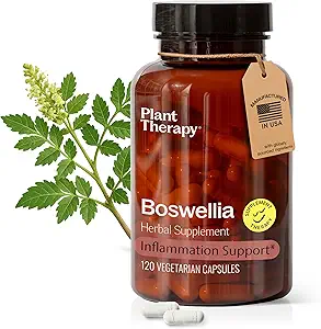 Plant Therapie Boswellia Extract Capsules geproduceerd in de VS 4 maand Supply ondersteunt gezamenlijke flexibiliteit, comfort, kalmeert ongemak en gezonde huidsupplementen voor vrouwen en mannen 120 Vegetarische capsules