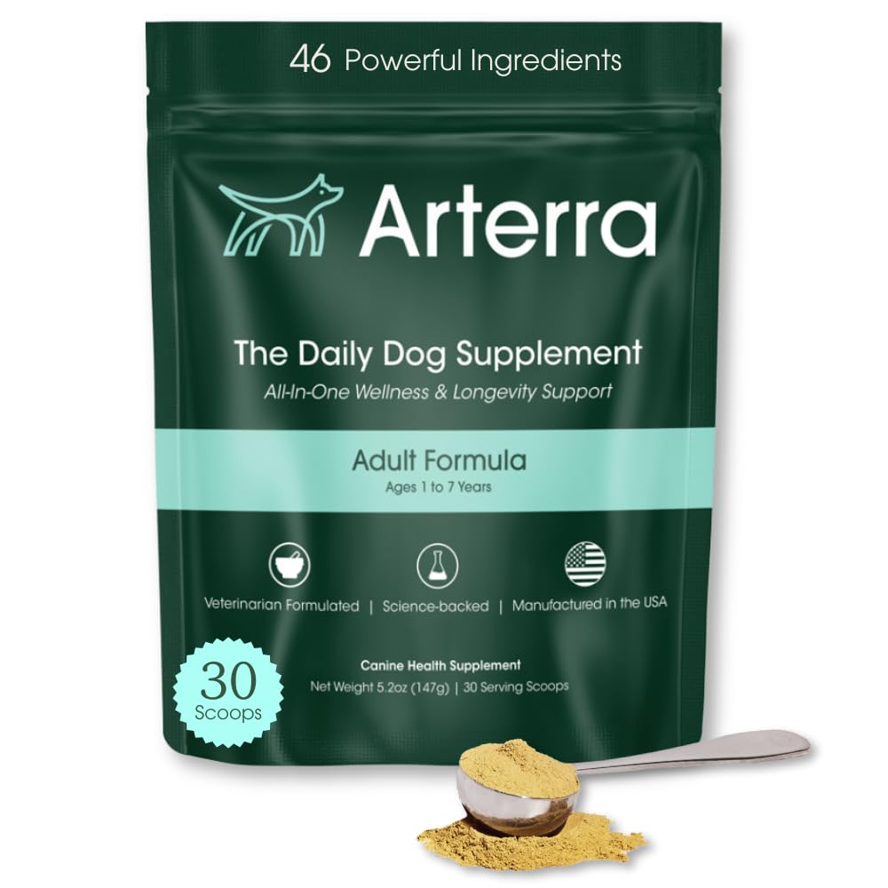 Supplément de poudre pour chien adulte et topper alimentaire – 46 ingrédients pour la santé de la peau, de l'Immune et du cerveau – multivitamine quotidienne longuevitamine pour le bien-être du corps entier