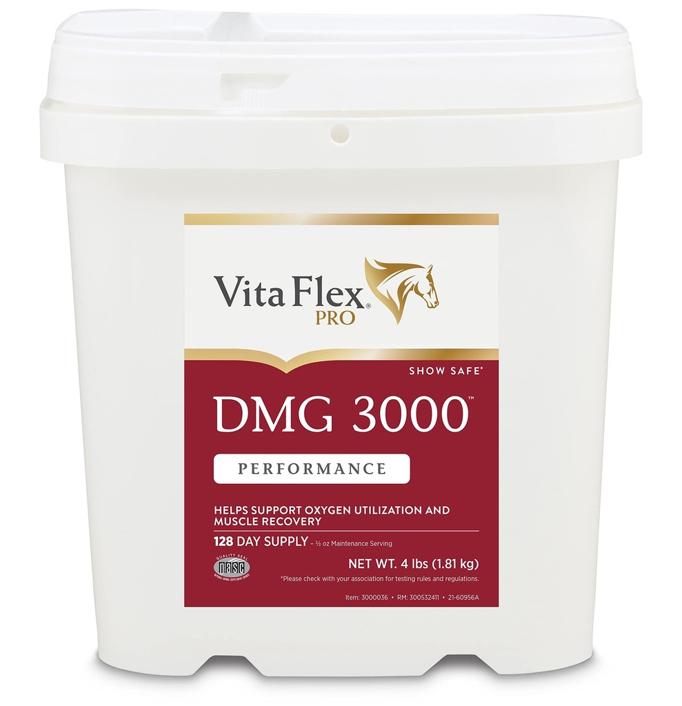 Vita Flex Pro DMG 3000 Horse DMG Concentraat, 4 Ponden, 128-Day Supply