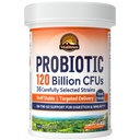 Probiotiques Vitalitown 120 milliards d'UFC, 36 souches, prébiotiques, enzymes digestives pour les hommes femmes, libération retardée, stabilité de la plate-forme, appui digestif sur le go, 30 capsules de veg