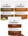 Real Paddestoelen Peak Performance Bundle - Lion's Mane + Reishi + Cordyceps-M Gecertificeerde Biologische Paddestoelenpoeders voor vitaliteit, Immuniteit & Longevity