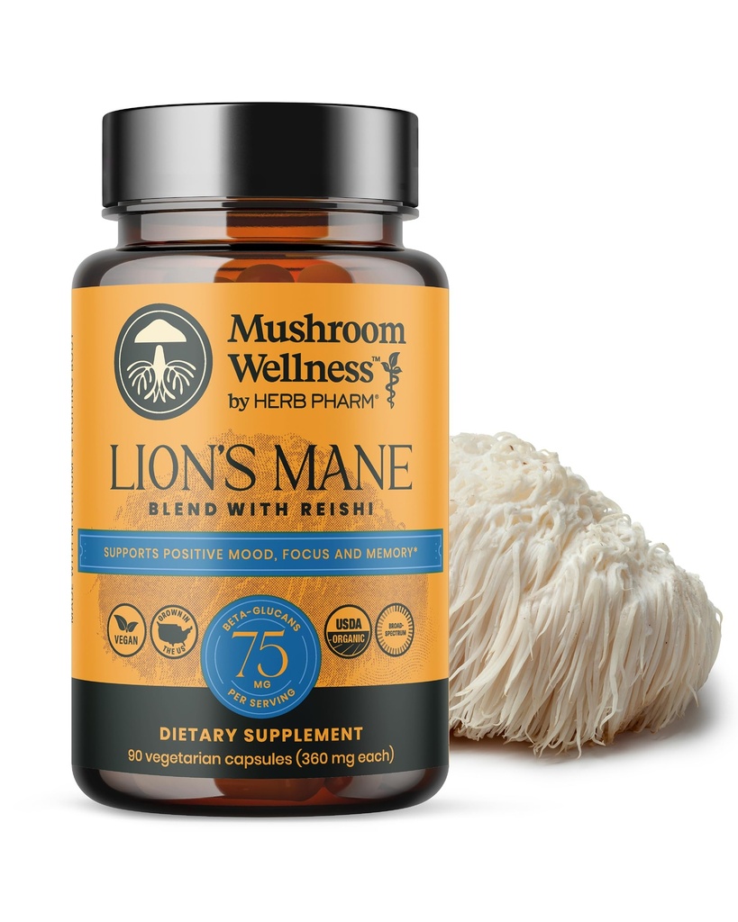 Paddestoel Wellness Lion
