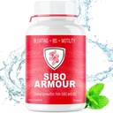 SIBO 