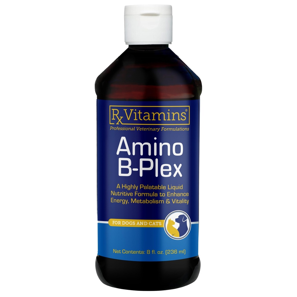 Rx Vitaminen Amino B-Plex Cat & Hond Supplement - Vitamine B Complex Liquid Plus Aminozuren voor honden en katten - Appetite Booster en Cat & Hond gewicht Gainer - Supplementen en vitamines - 8 oz