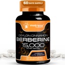 WELLESS LABSRX Berberine supplement 15.000 mg - Berberine met Ceylon kaneel, algehele wellness ondersteuning capsules - 120 capsules (verpakking van 1)