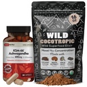 DailyNutra KSM 66 Ashwagandha (90 capsules) en Mushroom Cacao Mix (16oz) Bundel voor ontspanning en concentratie