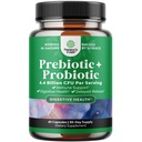 Prebiotica en Probiotica Gut Health Supplement - Super Potent Digestieve Gezondheid Acidophilus Probiotische Capsules met mannen en vrouwen Probiotica en Prebiotica voor Colon Digestieve Ondersteuning en Immuniteit