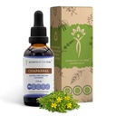 Secrets of the Tribe Chaparral Alcohol-Free Liquid Extract, Chaparral (Larrea tridentata) Dried Leaf and Flower Tincture Supplement (2 FL OZ)