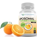 Liposomale vitamine C 1400mg per portie - 180 Veggie Capsules Hoge Absorptie Ascorbinezuur, Lypo-Spheric Vitamine C Complex Immuun Ondersteuning Supplement met krachtige antioxidanten en Collagen Booster