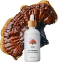 Rainbo - Teinture de champignons Reishi - Supplément de champignons à double extrait - Immunissance, humeur, sommeil, supplément de reishi liquide, végétalien, non OGM, 3,4 fl oz