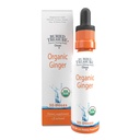 Treasure enseveli gouttes de gingembre - Fabriqué avec racine de gingembre biologique pour le soutien digestif, Des gouttes de set, Pas de sucre, Sans alcool, Utilisation polyvalente pour le thé gingembre ou la consommation directe, 30 portions