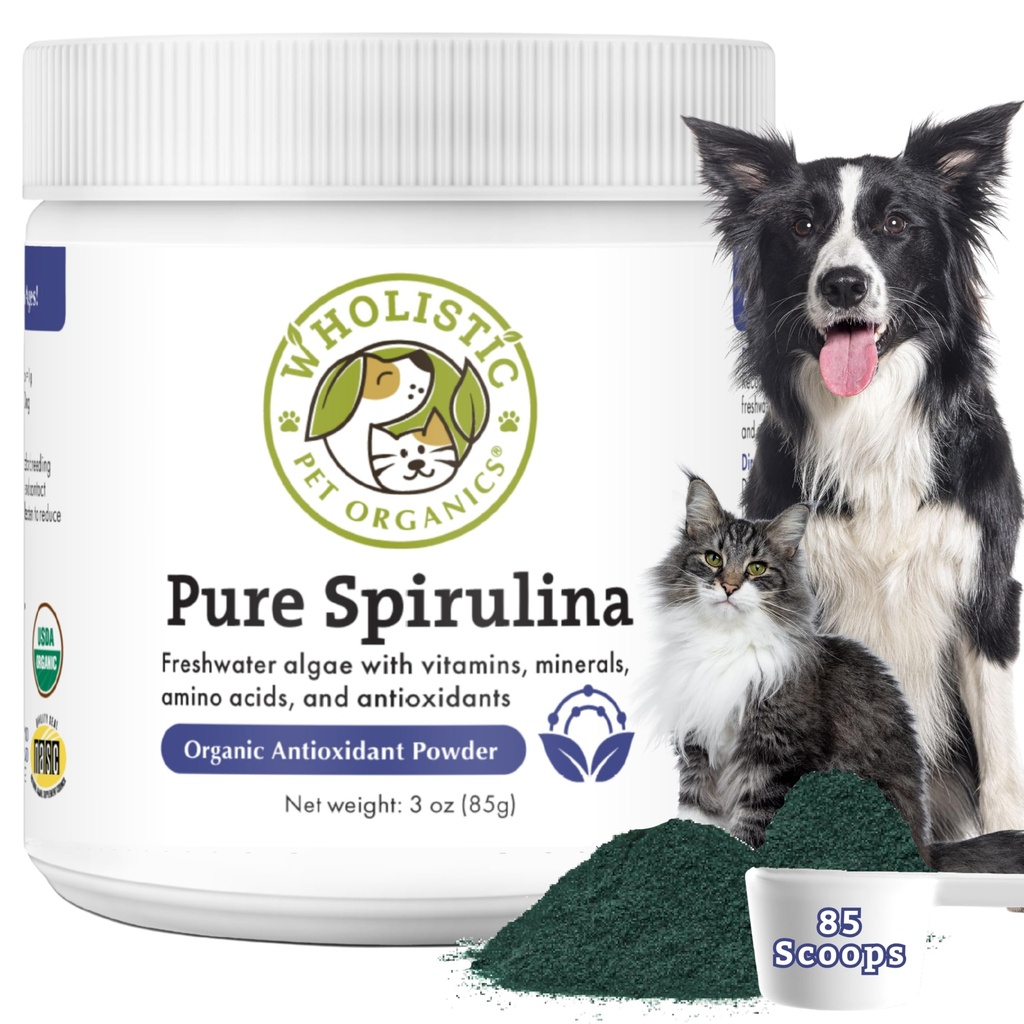 Wholistic Pet Organics Spirulina for Dogs - 3 Oz - Ondersteunt gezonde immuunsysteem & seizoensgebonden Allergie - Plant Based Antioxidant Ondersteuning voor Homemade Food - Biologische Hondenvoedsel Topper - Freshly Made in USA