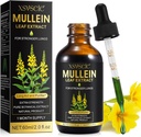 Gouttes de molléine pour les poumons, Extrait de molléine pour les poumons, Teinture d'extrait de molléine avec supplément naturel de chlorophylle Extrait de molléine pour le nettoyage pulmonaire et la santé respiratoire
